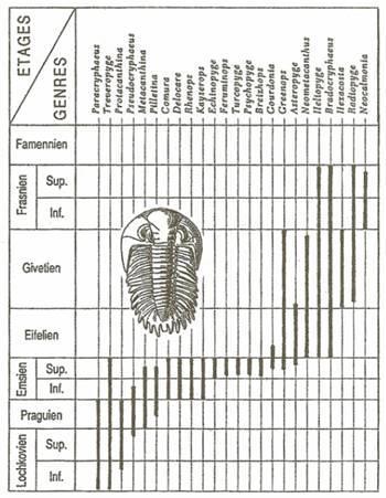 Schéma de répartition des genres des Dalmanitidae 