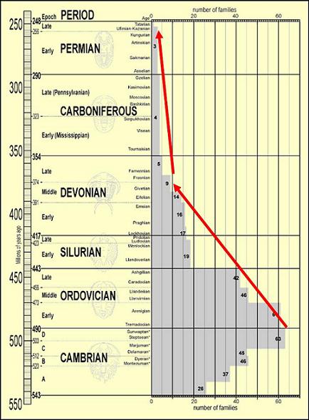  Evolution du nombre de familles de Trilobites du Cambrien au Permien supérieur  
			
